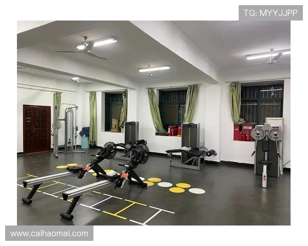 日常体育健身器材选择与搭配技巧