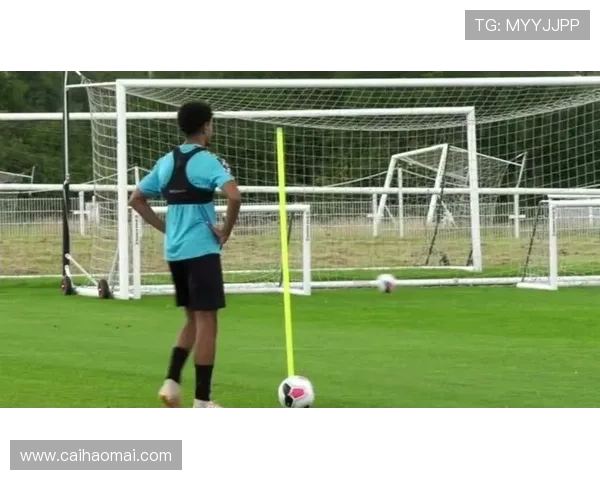 足球运动员的自律与职业素养提升