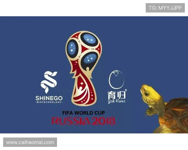 澳门世界杯竞猜热潮掀起全民参与体育娱乐新风尚打造多元互动体验