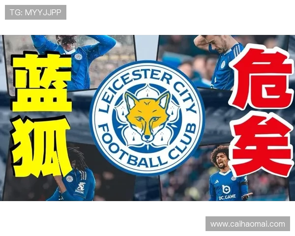 莱斯特城登顶之路：2015-2016英超积分榜深度复盘